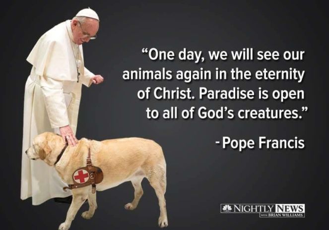 pope francis and dog