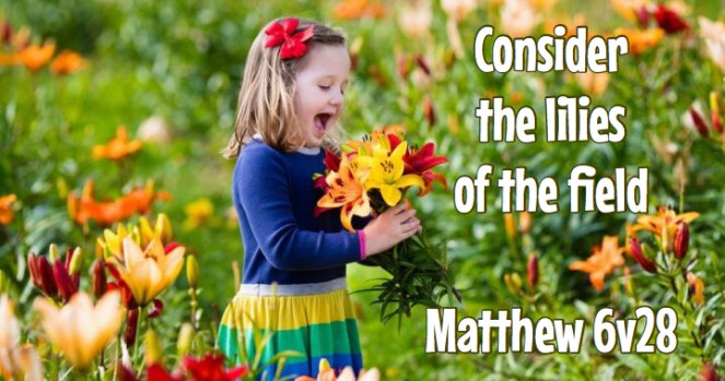 young girl and flowers