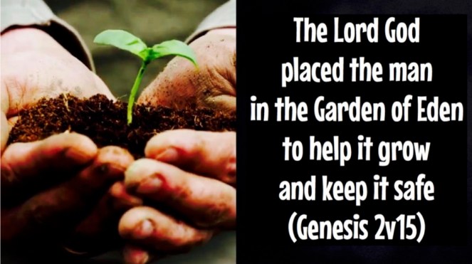 Genesis 2v15