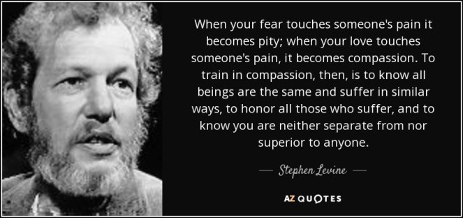 Stephen Levine when your fear touches someone's pain