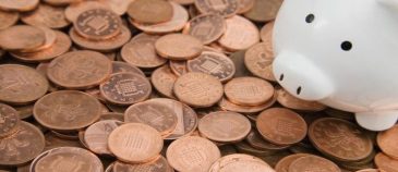 pennies and piggy bank