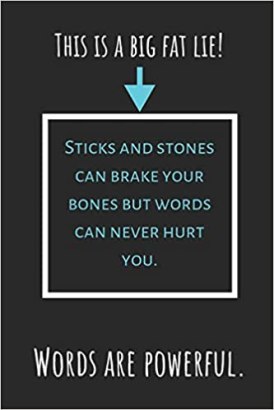 sticks and stones lie