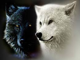 Two Wolves