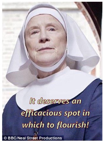 space to flourish-page0001-2