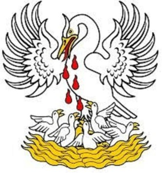 Pelican feeding its young blood