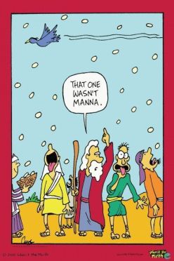 That wasn't Manna